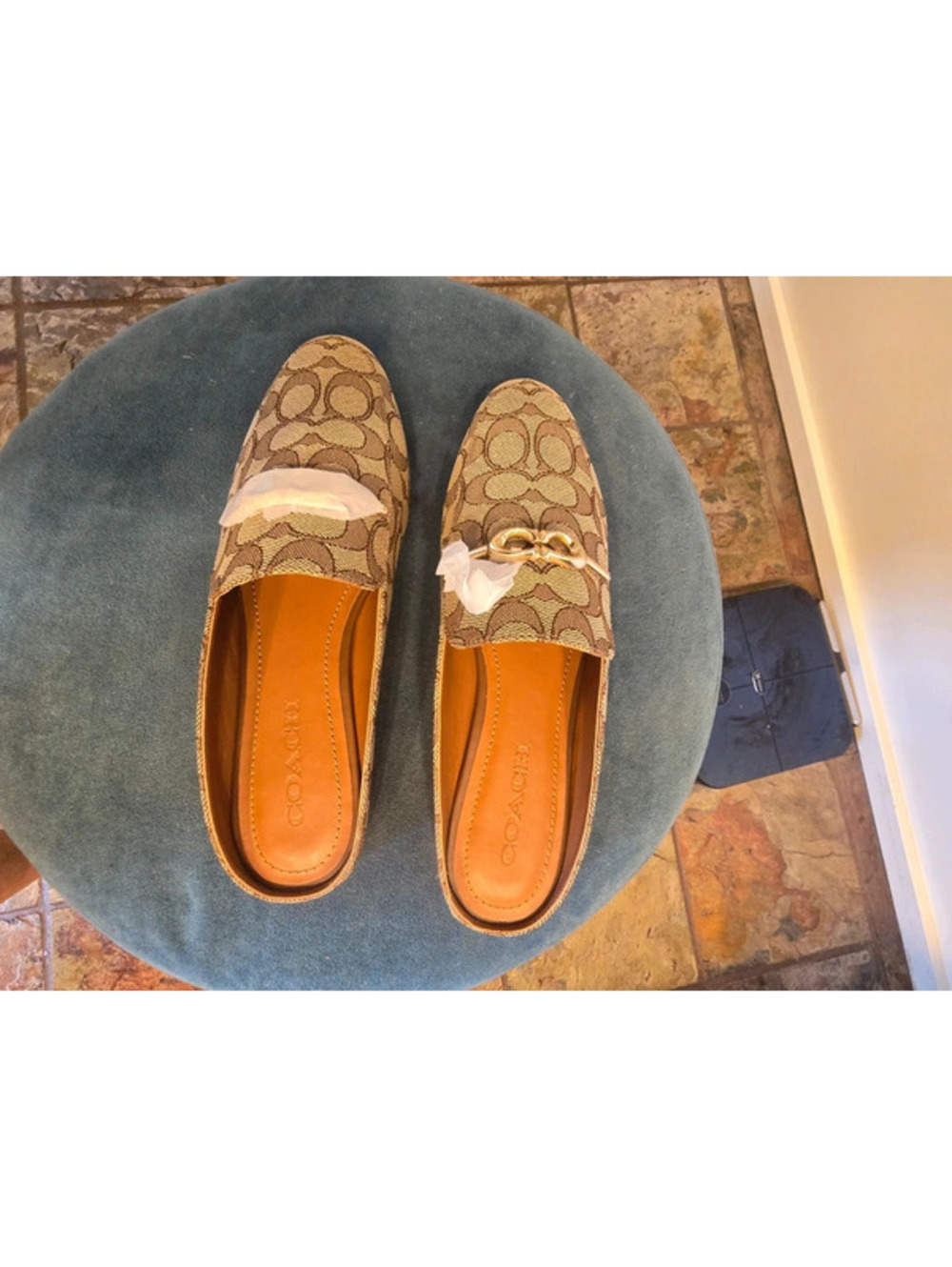 Sienna Coach slides